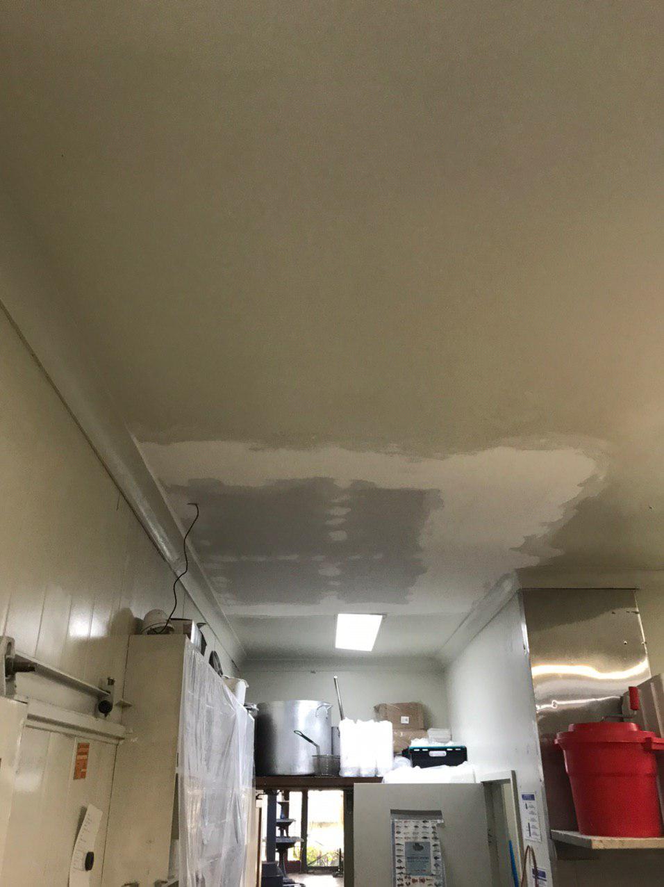 Golden Guys Painting Services